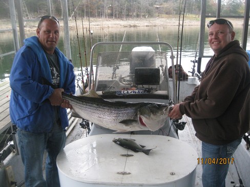 Nice Striped Bass
